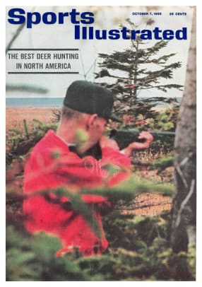 42364 - Cover Image